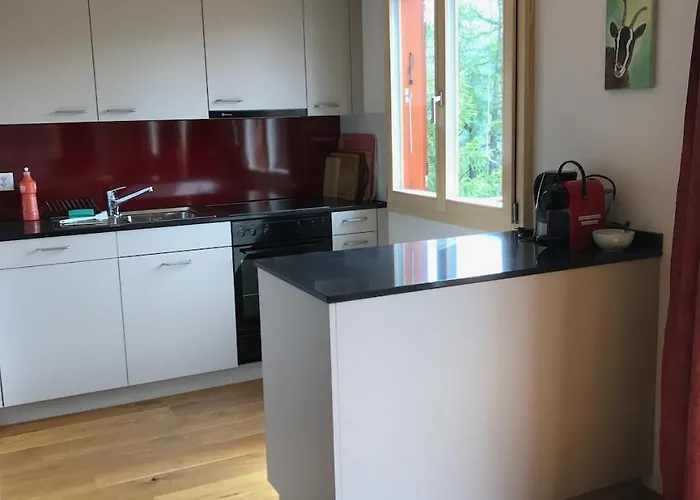 Maennertreu Og 公寓 *